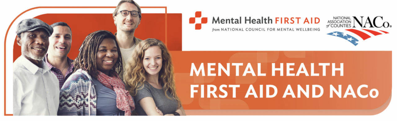 NACo Resource Kit: Mental Health First Aid Program - WI Mental Health ...